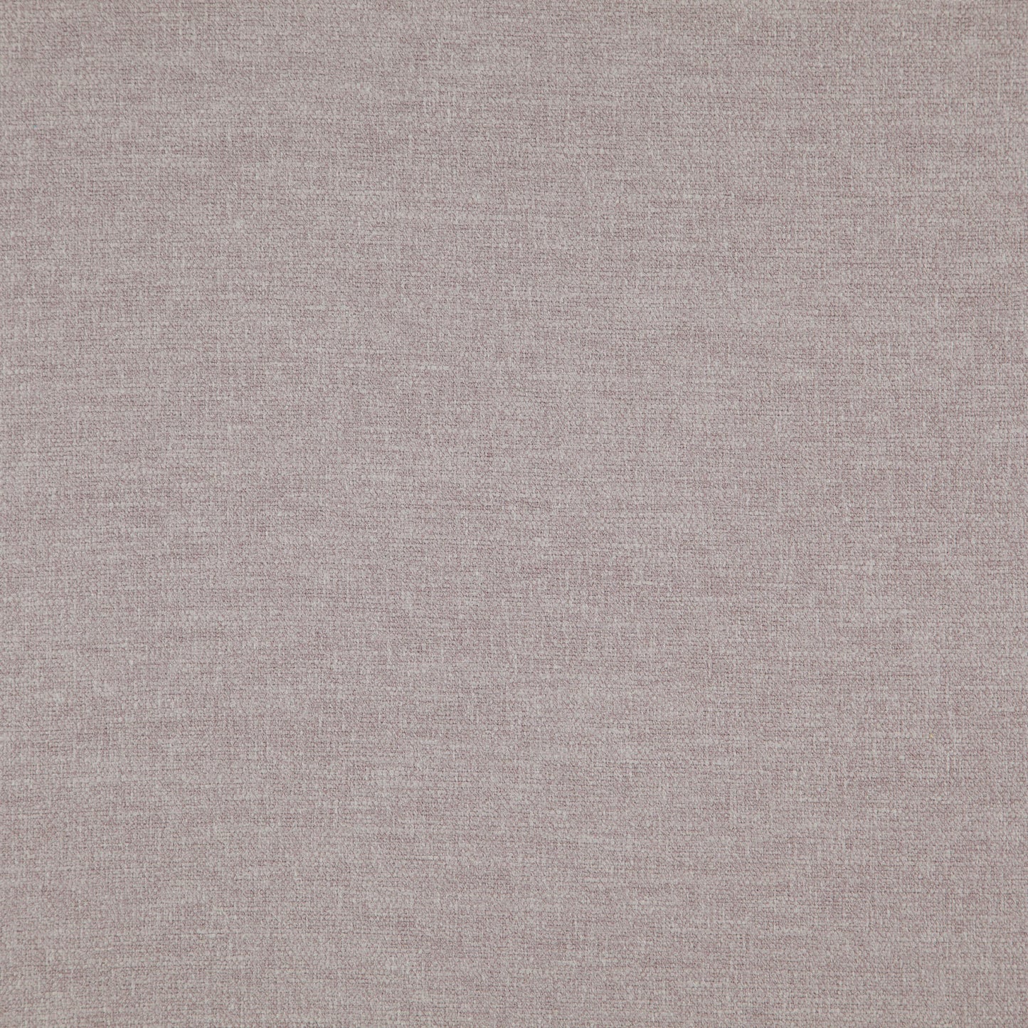 Warwick Splash Wisteria