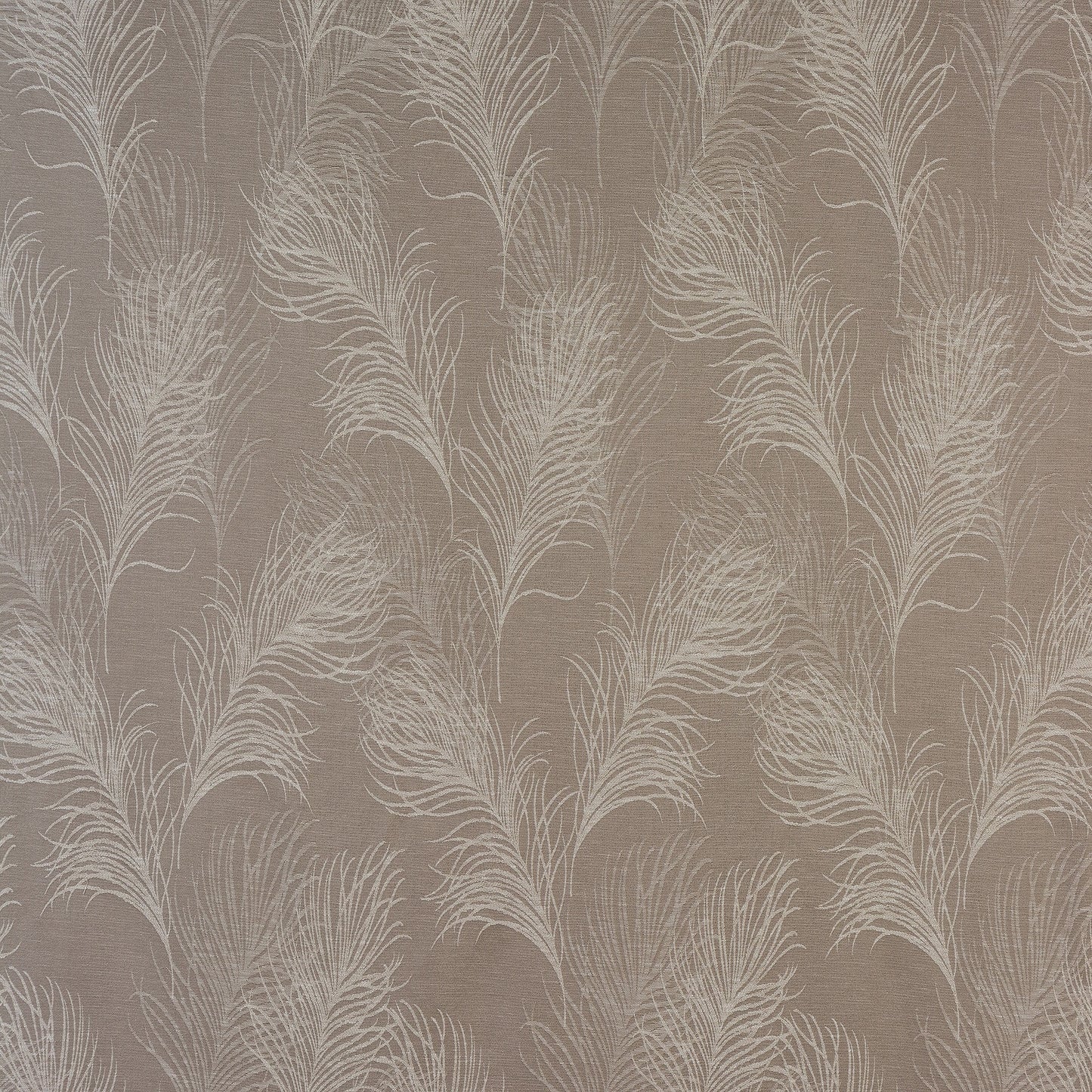 Fryetts Feather Coffee