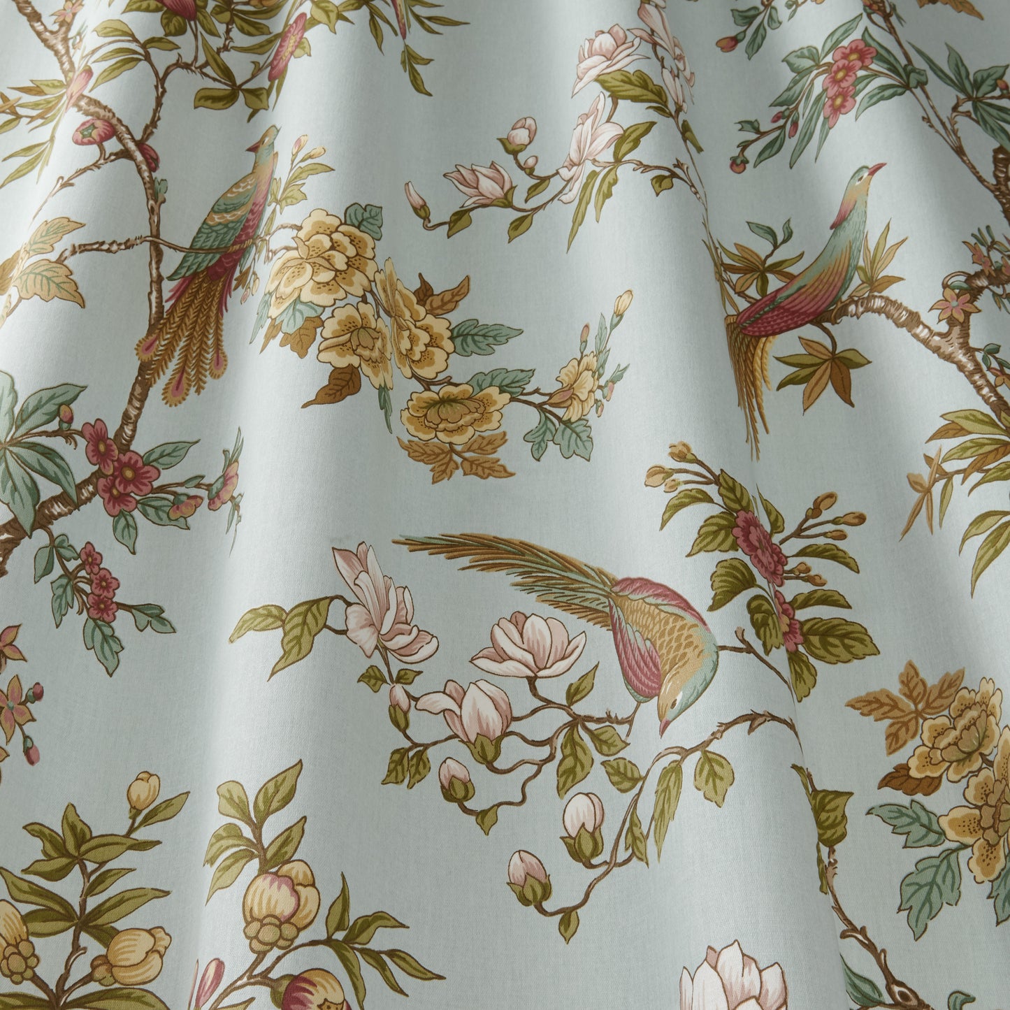 iLiv Orientalis Duckegg