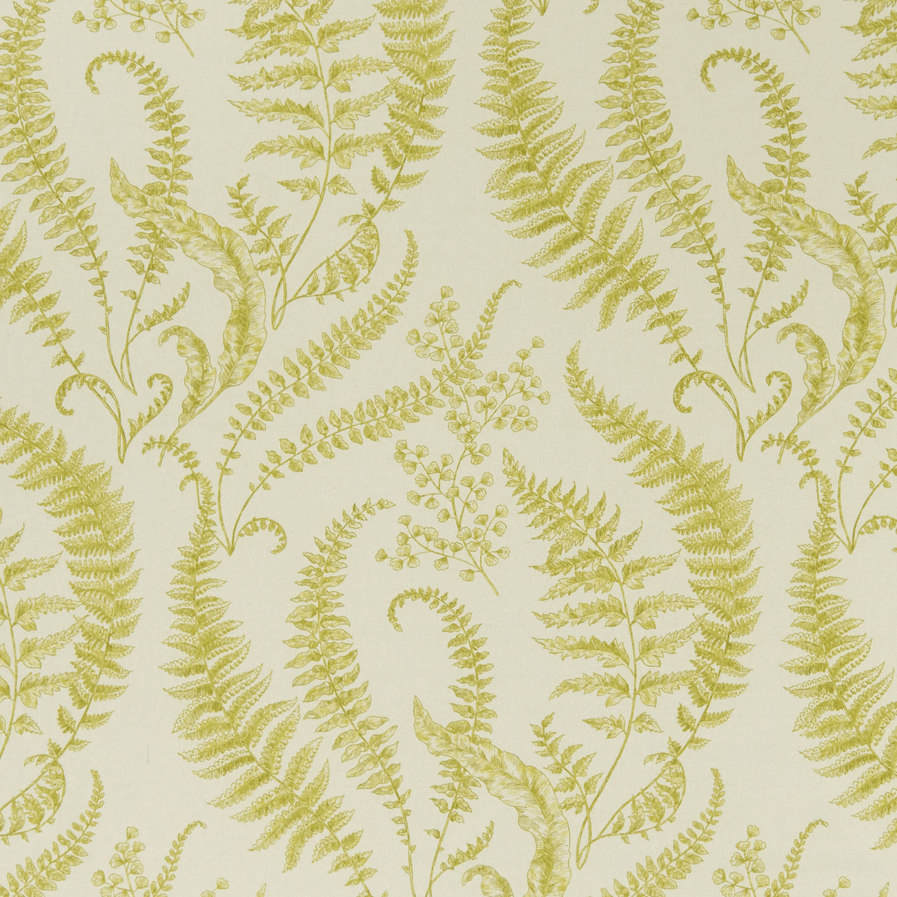 Clarke & Clarke Folium Chartreuse