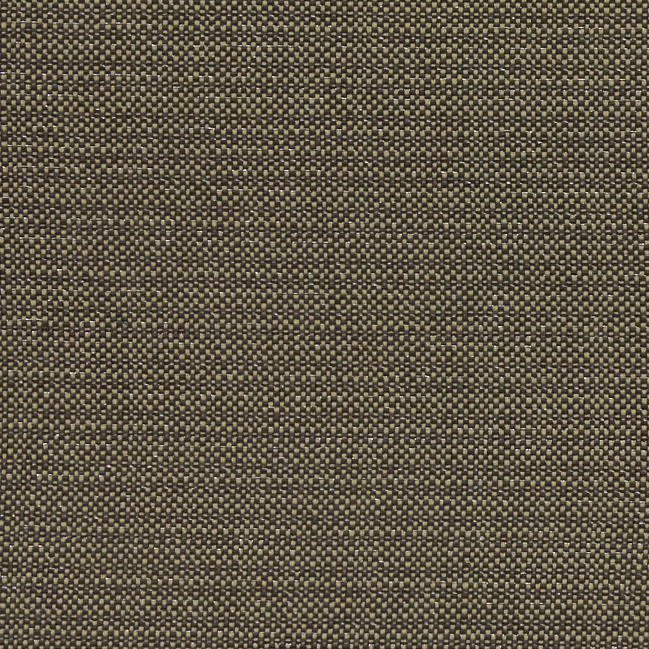 Clarke & Clarke Kauai Charcoal