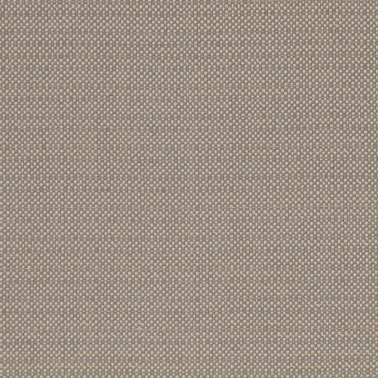 Clarke & Clarke Kauai Mocha