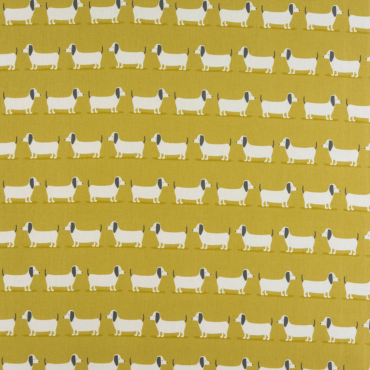 Fryetts Hound Dog Ochre