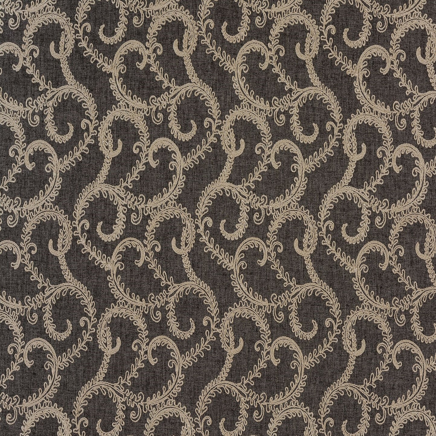 Fryetts Plume Charcoal