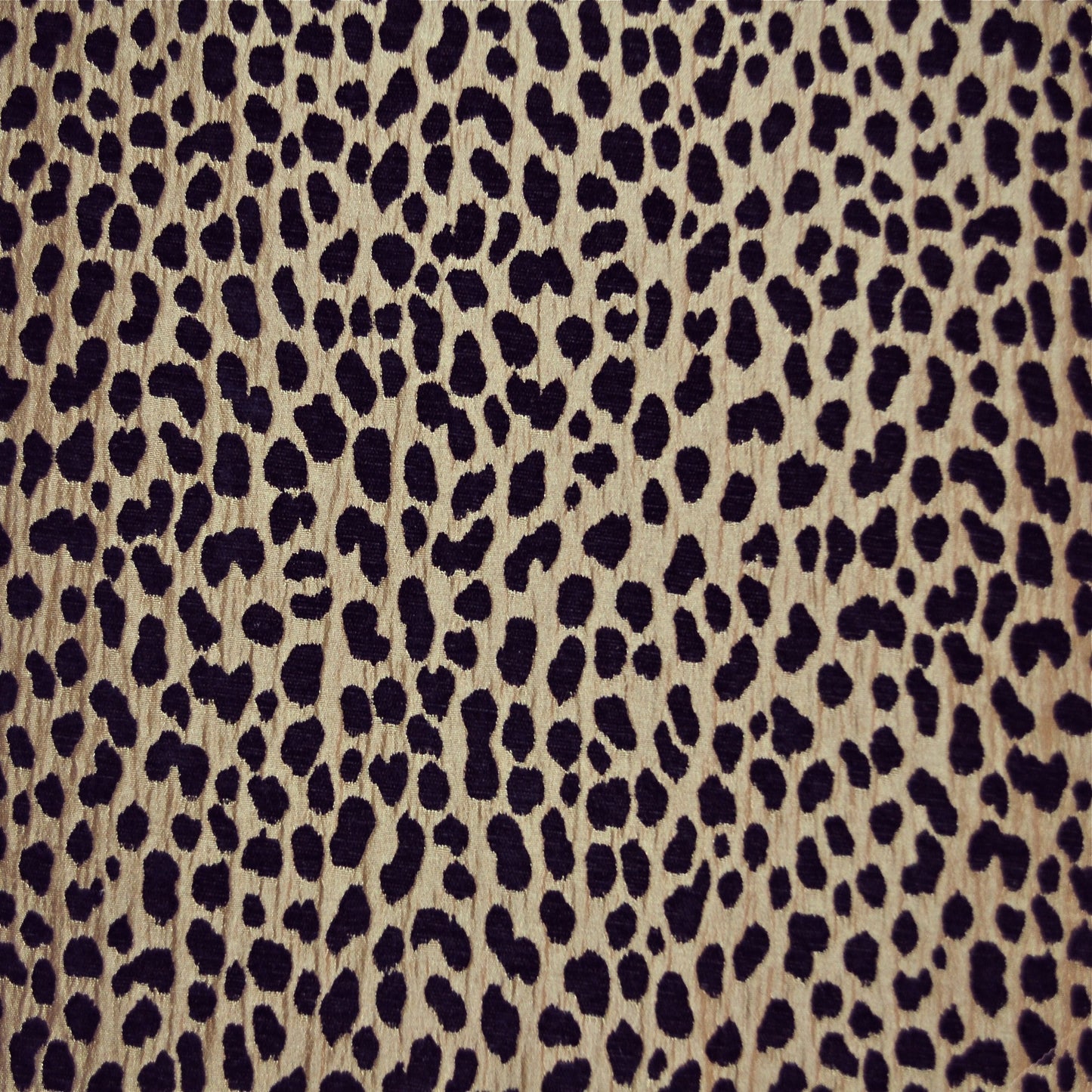 Fryetts Serengeti Bronze