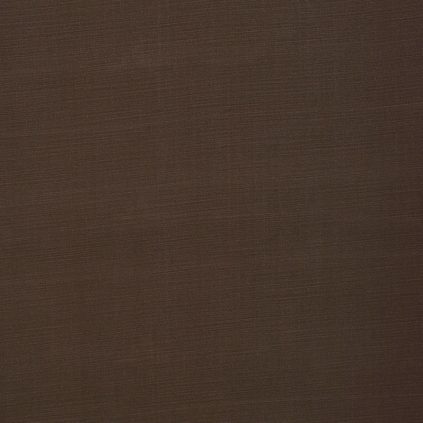 Fryetts Carrera Cocoa