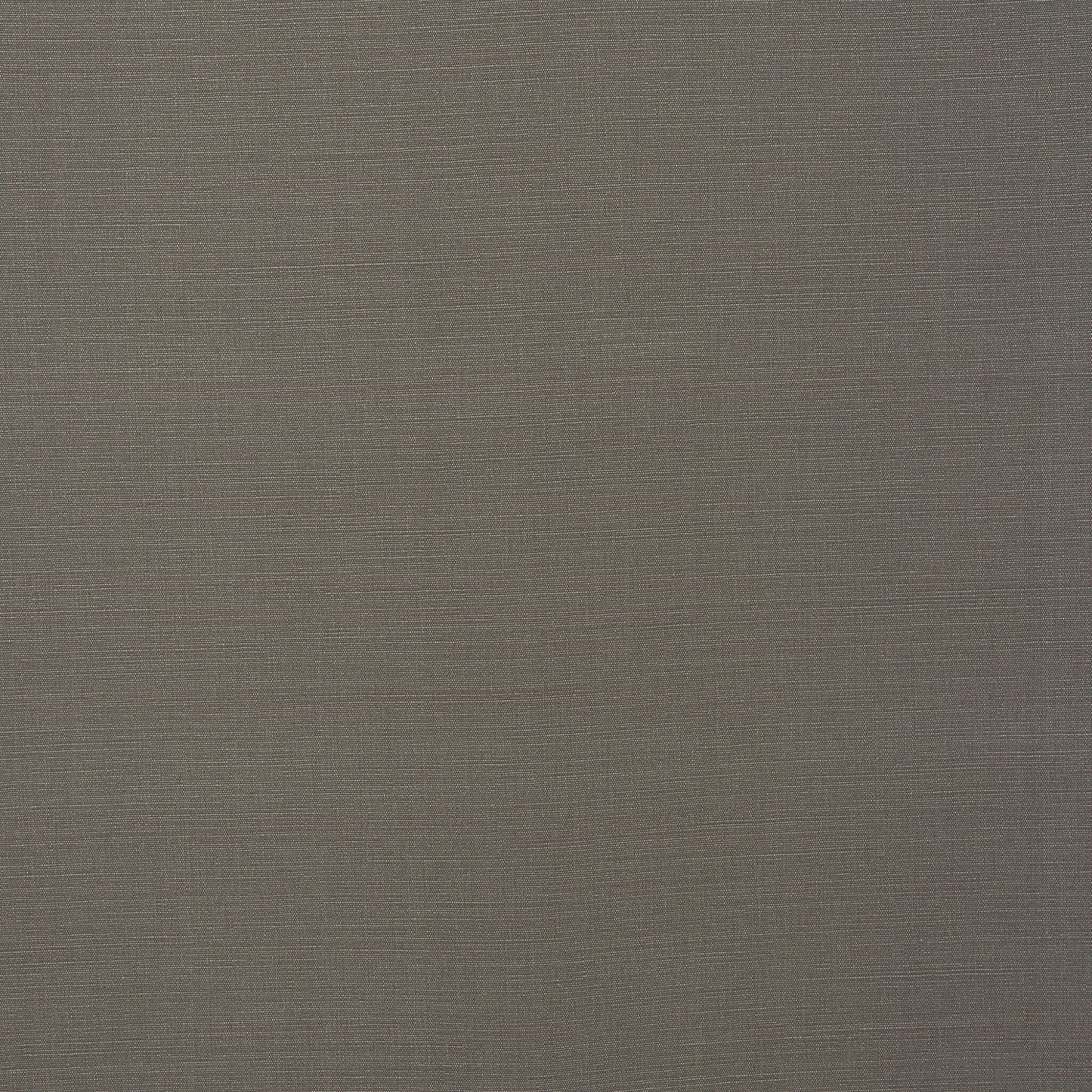 Fryetts Carrera Dove