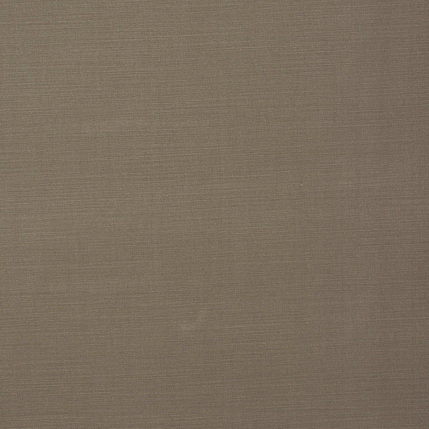 Fryetts Carrera Mink