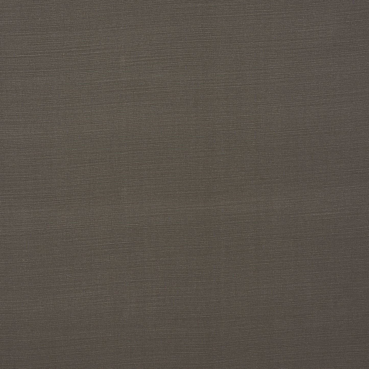 Fryetts Carrera Mushroom