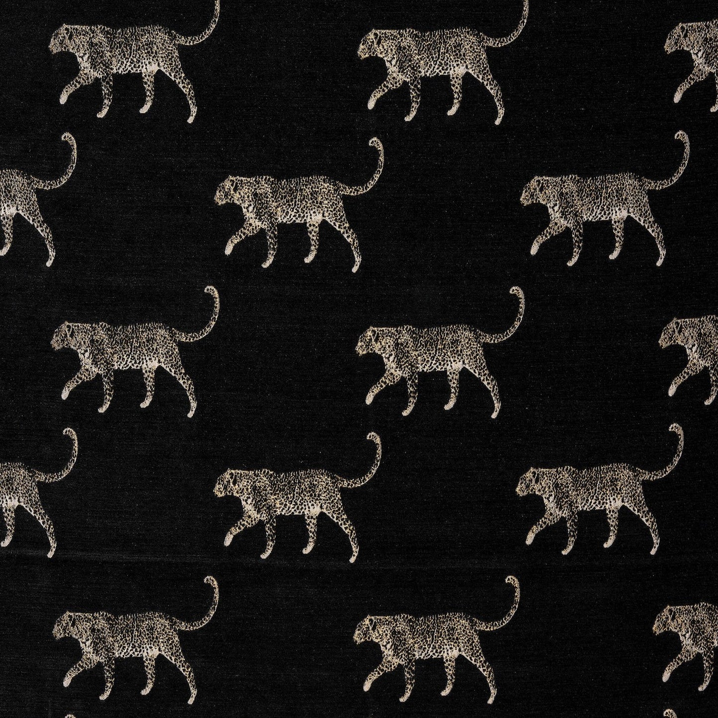 Fryetts Leopard Noir