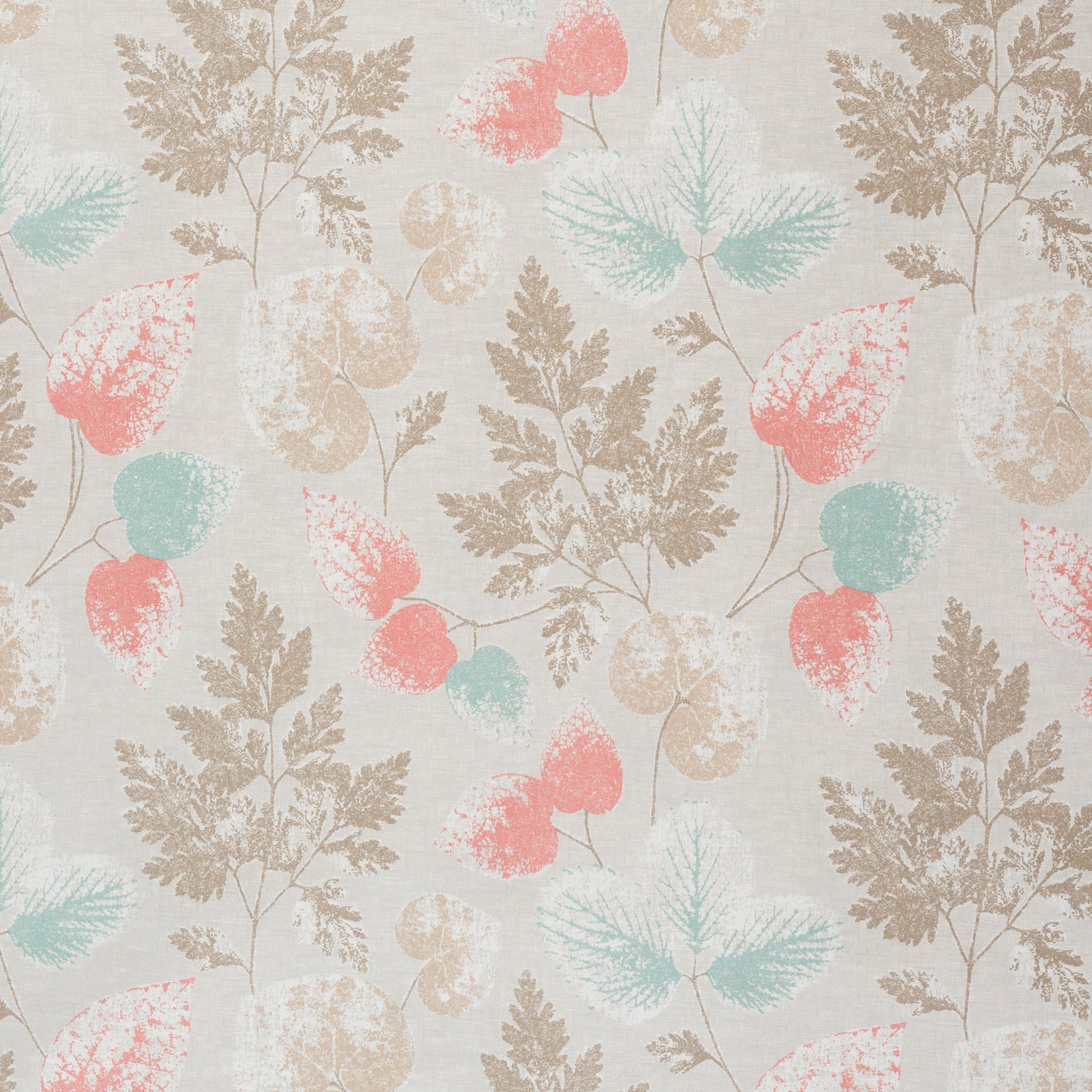 Ashley Wilde Olea Coral