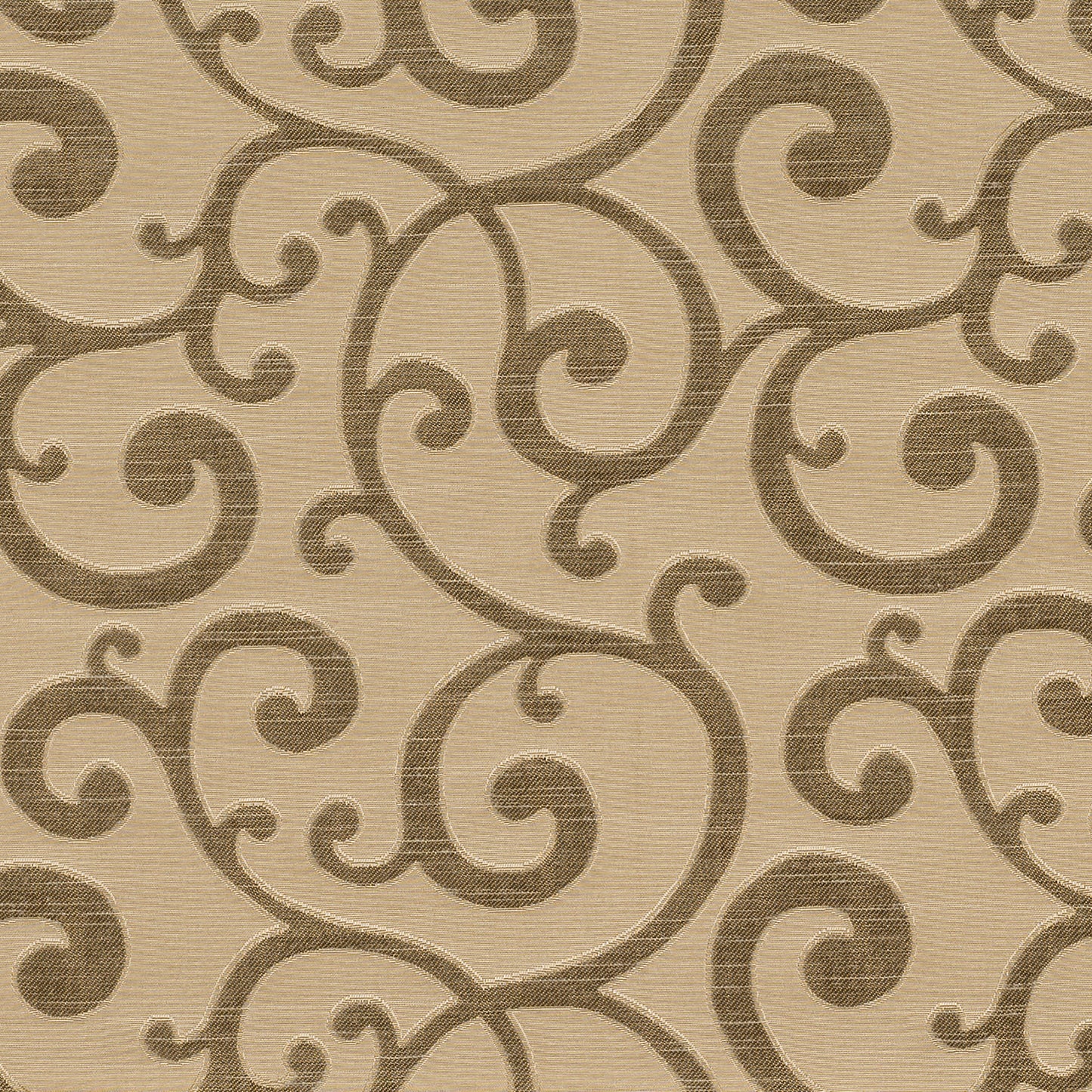 Ashley Wilde Nidia Gold