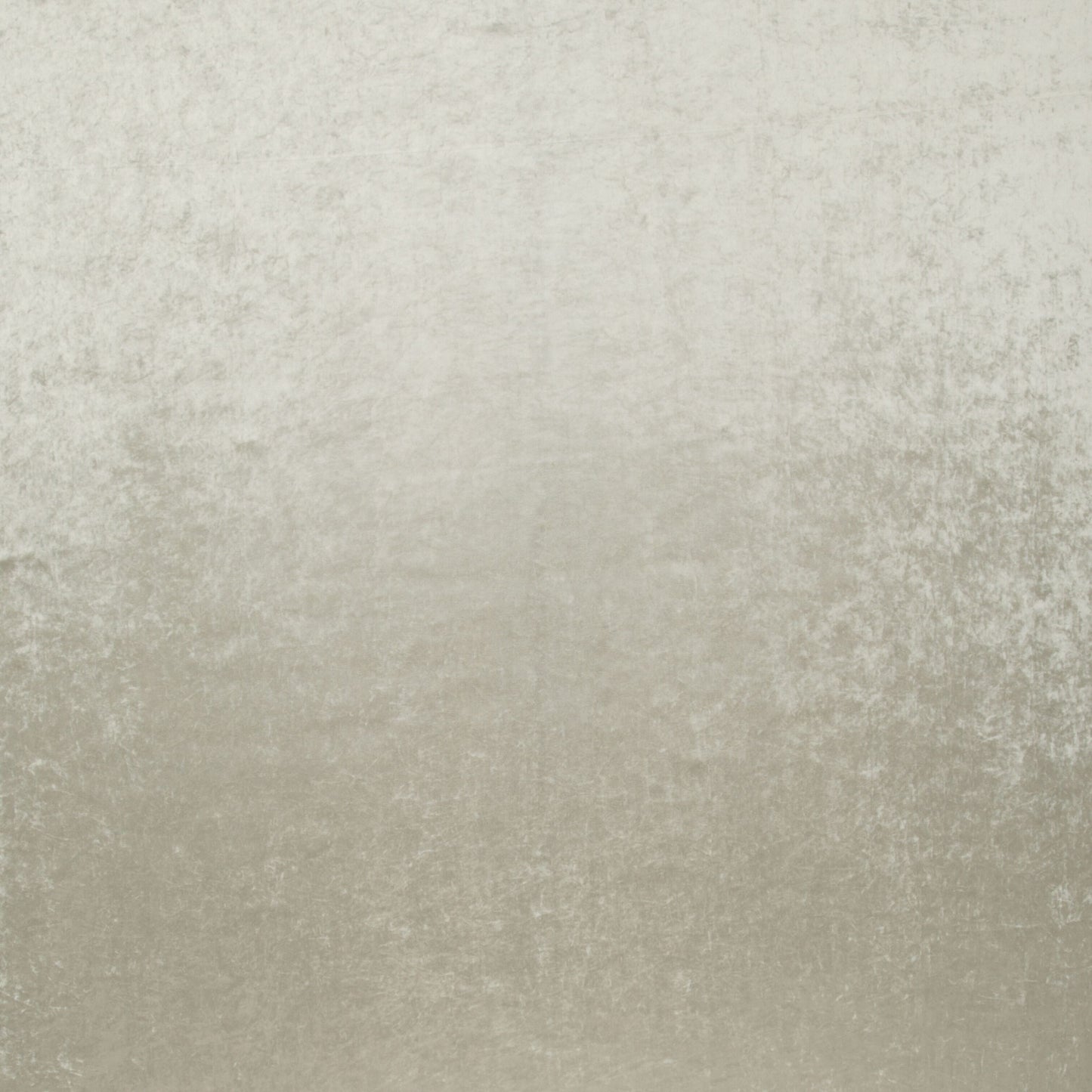 iLiv Tilia Ivory Velvet