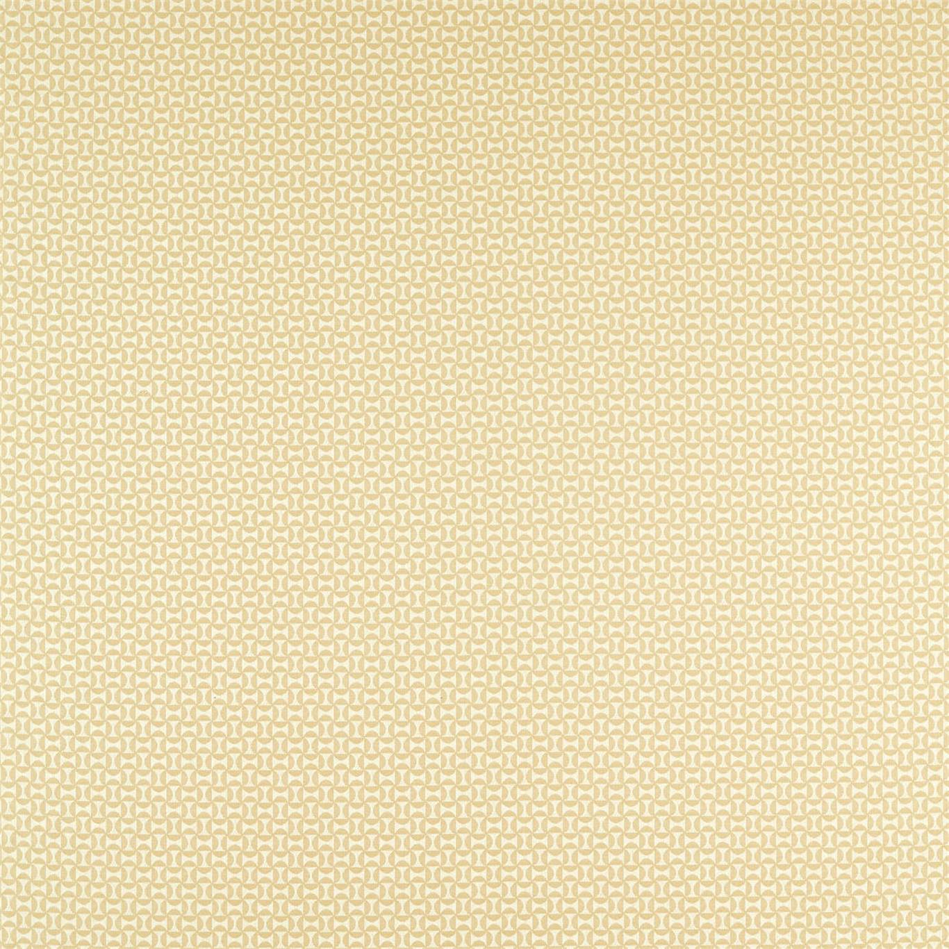 Scion Forma Raffia