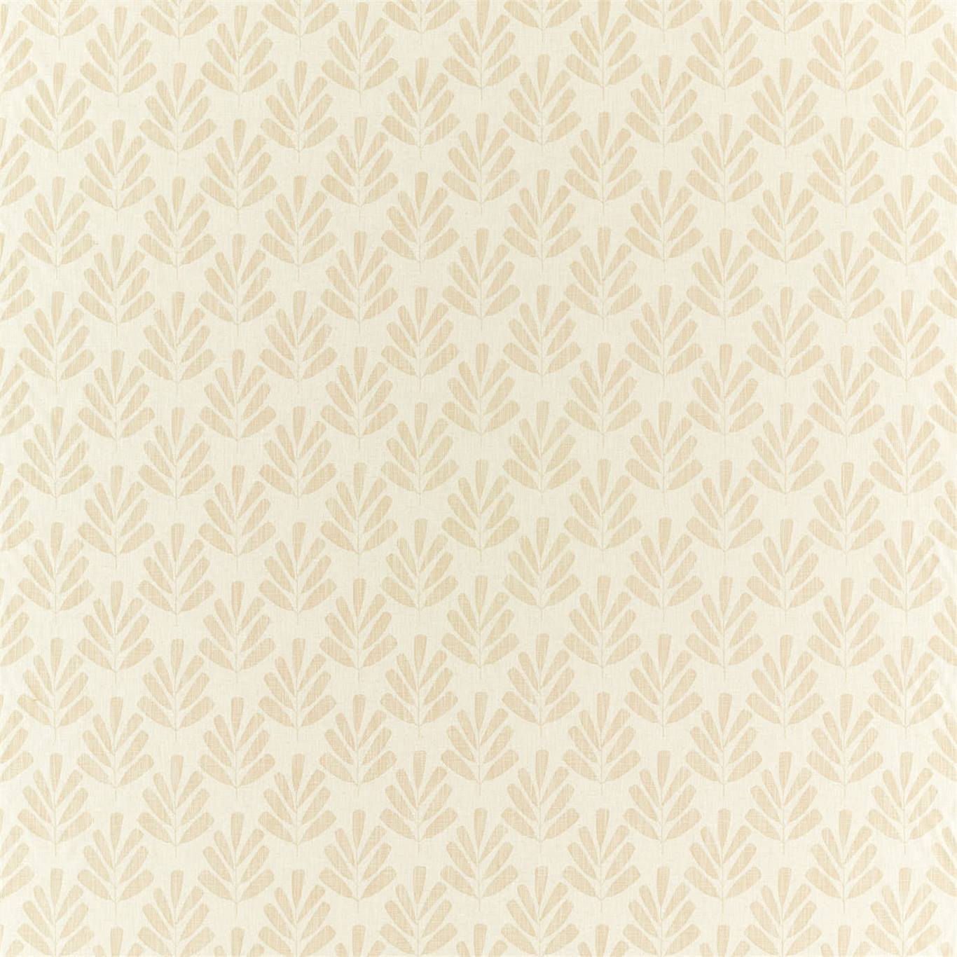Scion Poacea Raffia