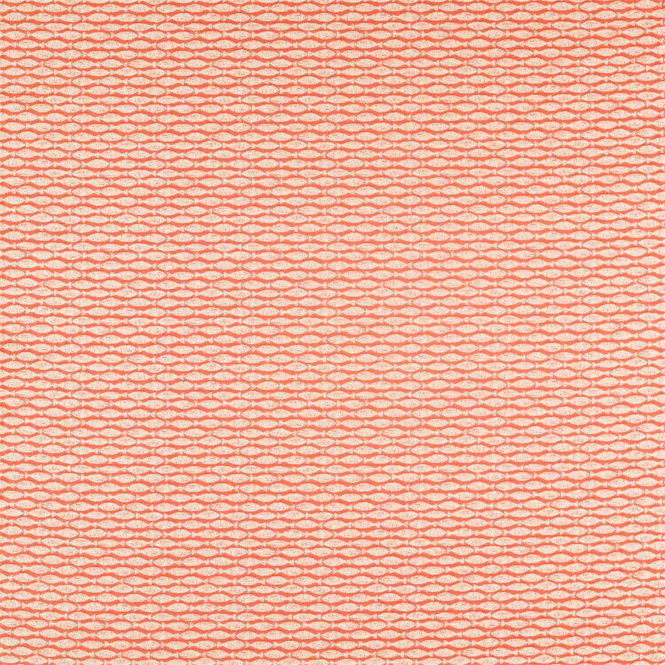 Scion Samaki Paprika