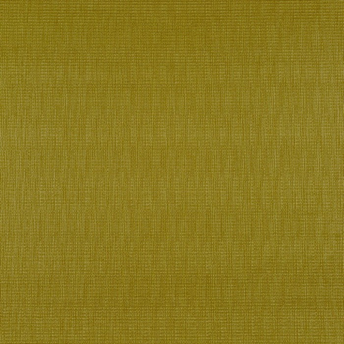 Prestigious Textiles Talu Lime