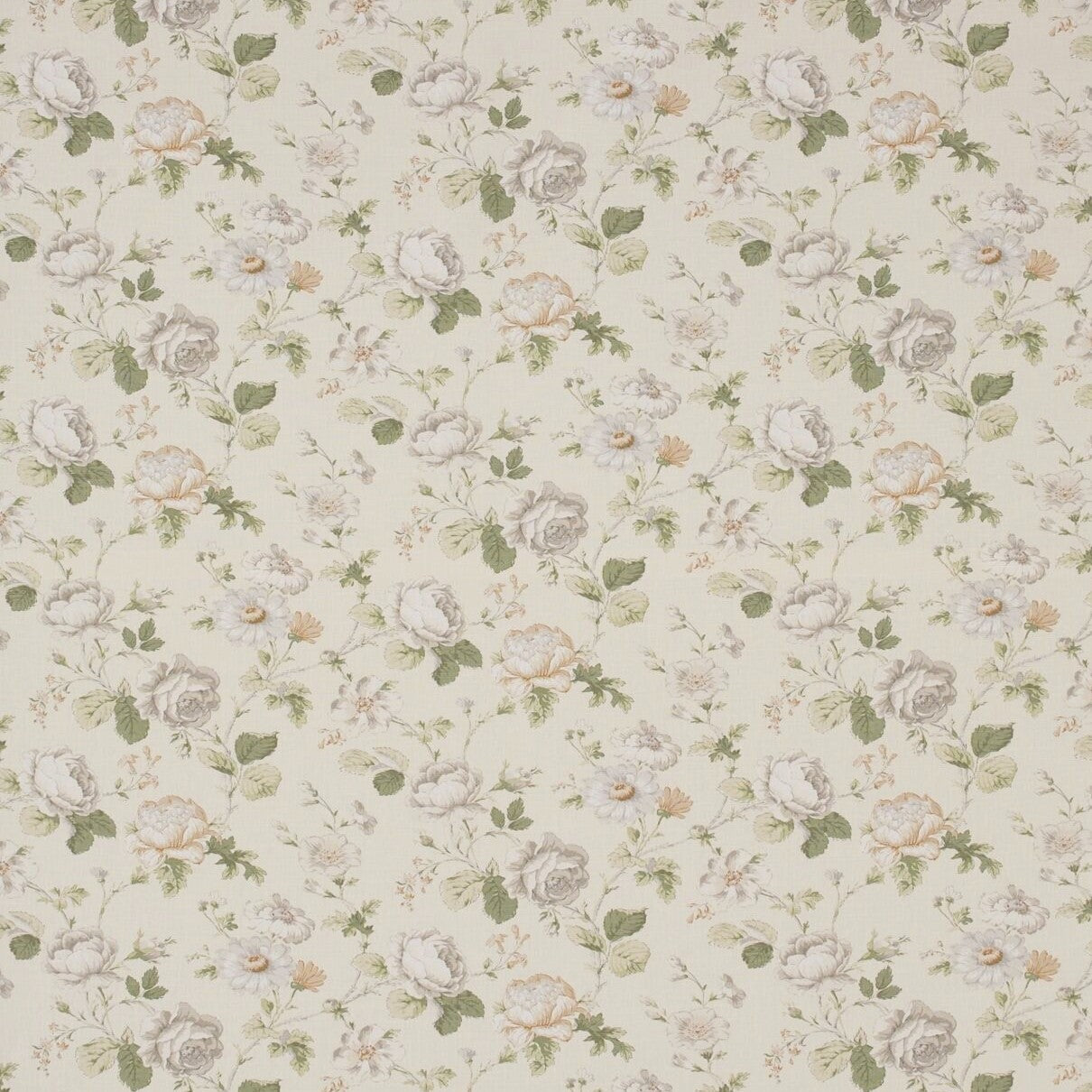 Warwick Chantilly Daisy