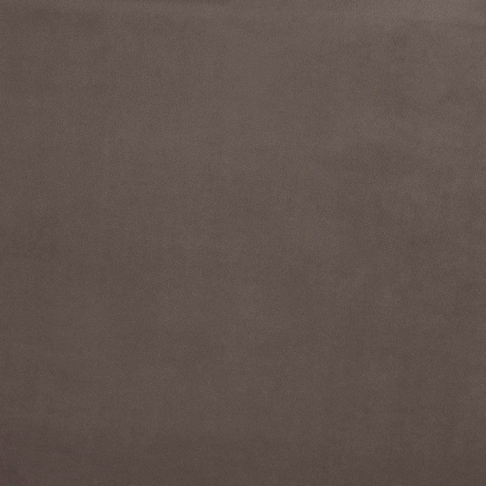 Prestigious Textiles Belgravia Mole