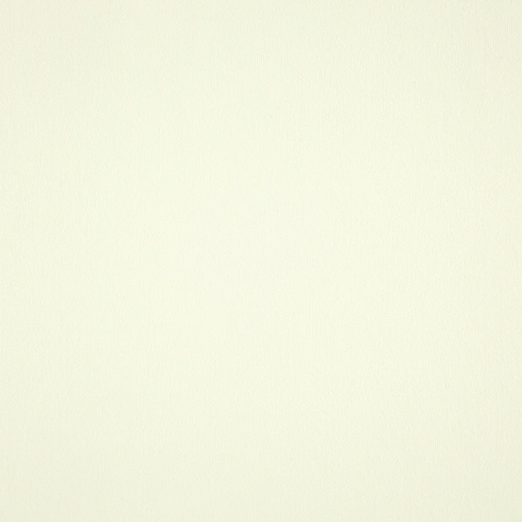 Fibre Naturelle FibreGuard Stain Resistant Compton Wool