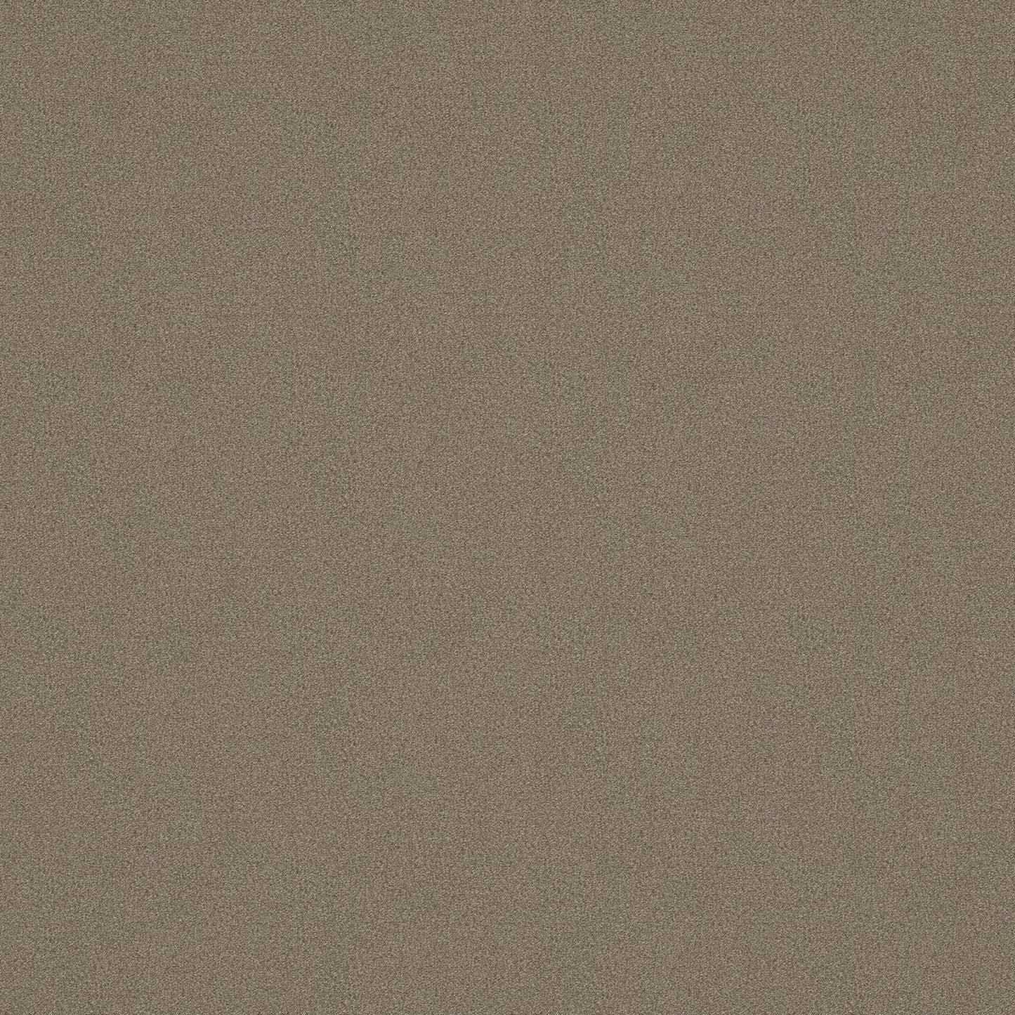 Warwick Alpaka Coyote Fire Retardant Woollen Velvet