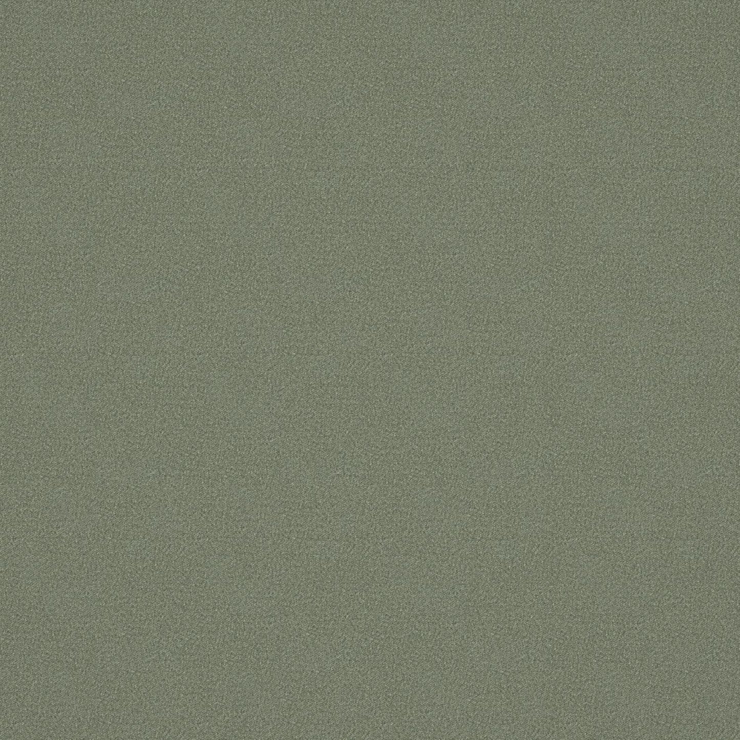 Warwick Alpaka Husky Fire Retardant Woollen Velvet