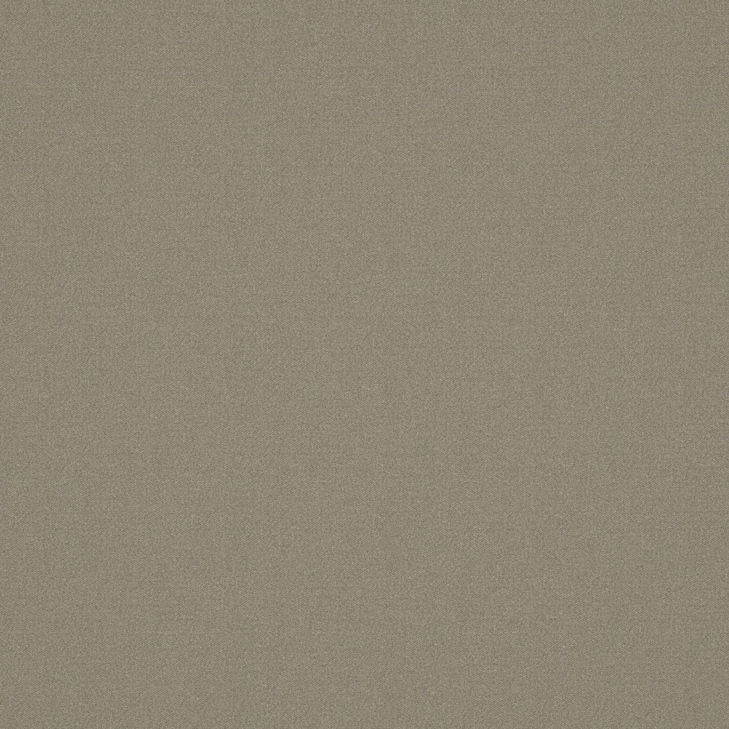 Warwick Alpaka Llama Fire Retardant Woollen Velvet