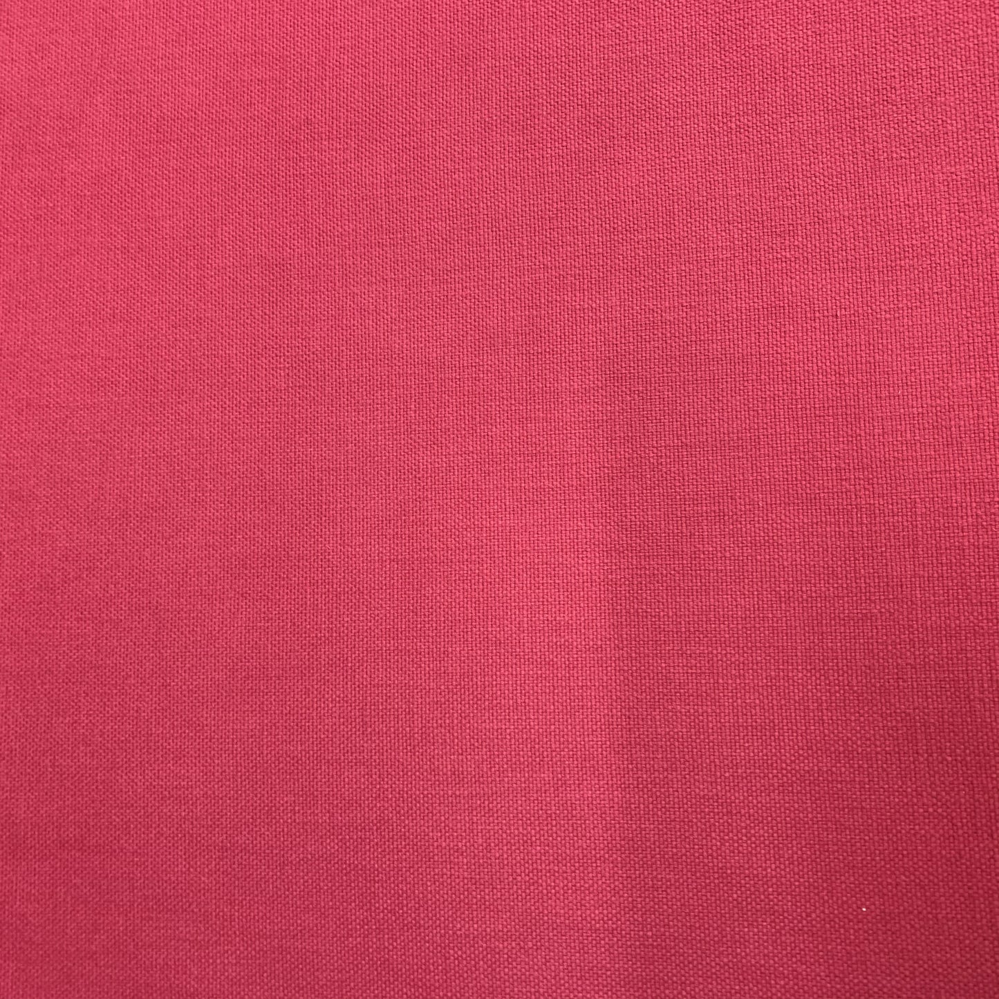 Plain Fuchsia