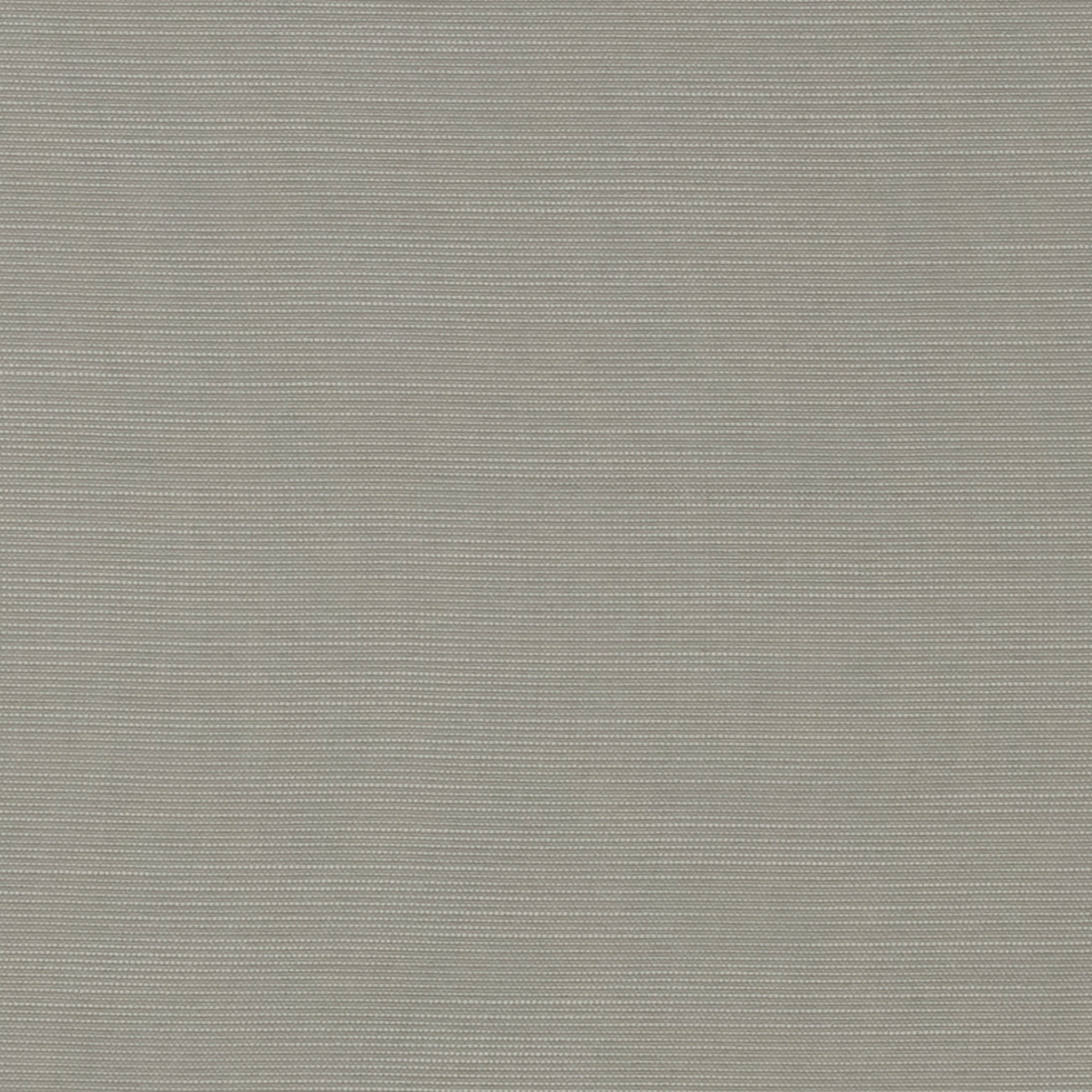 Clarke & Clarke Terra Steel FR