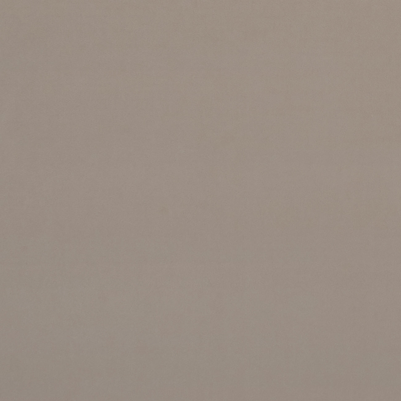 Clarke & Clarke Alvar Biscotti