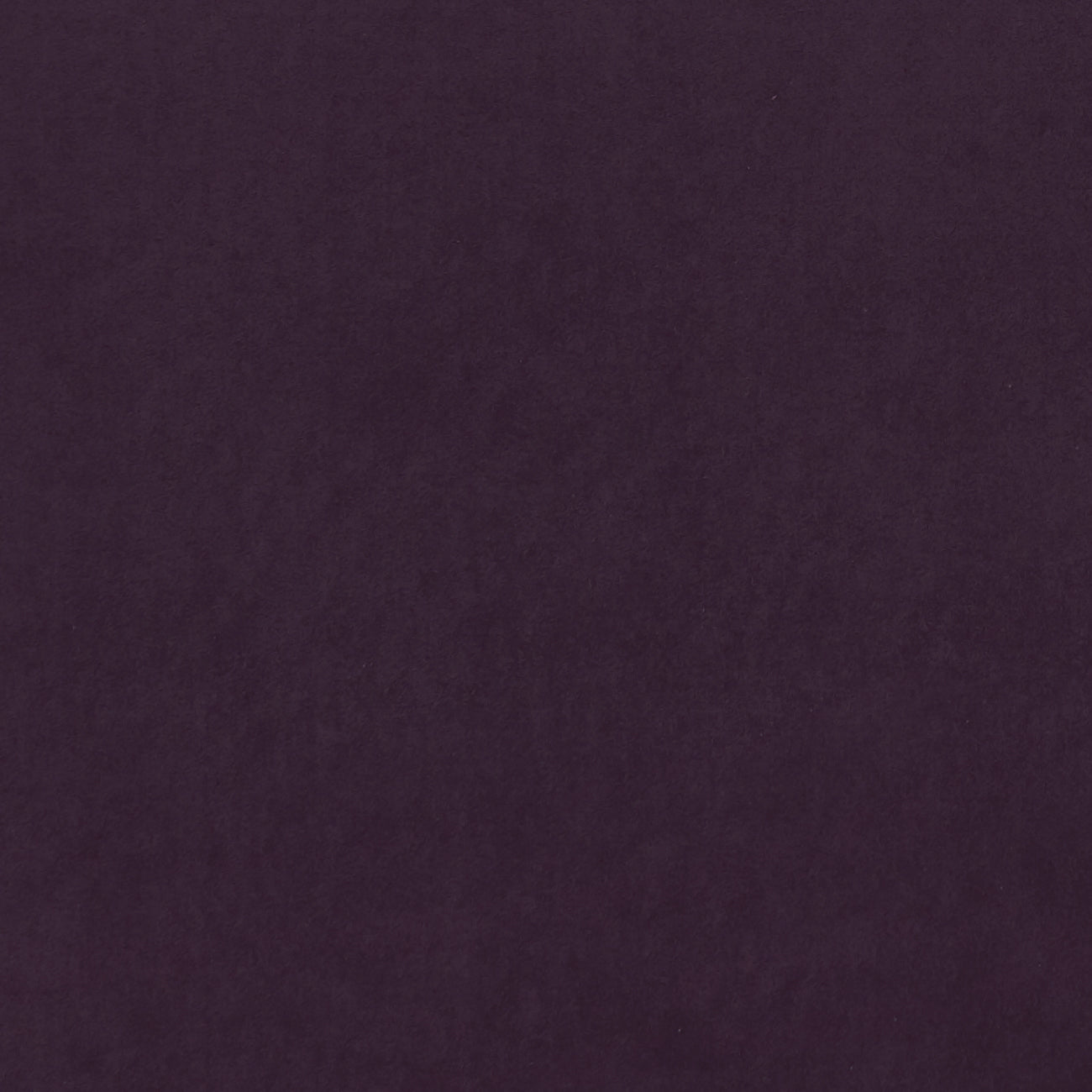 Clarke & Clarke Alvar Damson