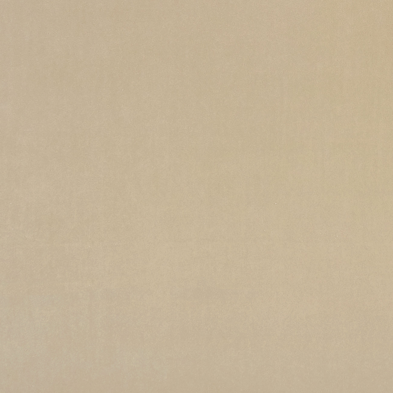 Clarke & Clarke Alvar Flaxen