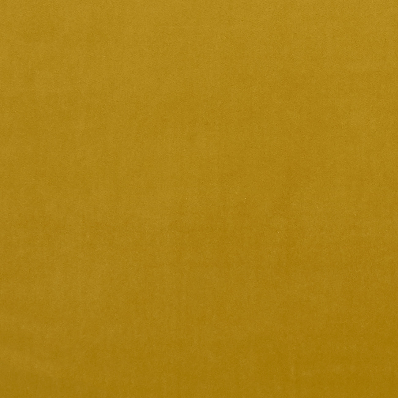 Clarke & Clarke Alvar Honey