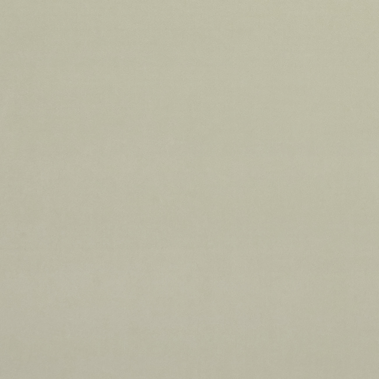 Clarke & Clarke Alvar Ivory