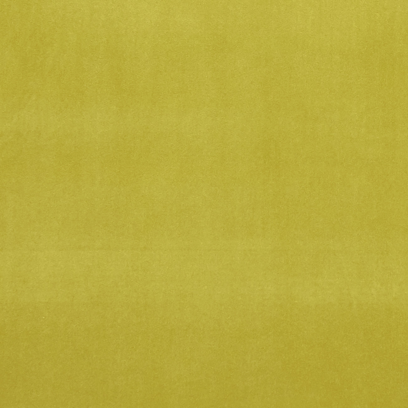 Clarke & Clarke Alvar Lime