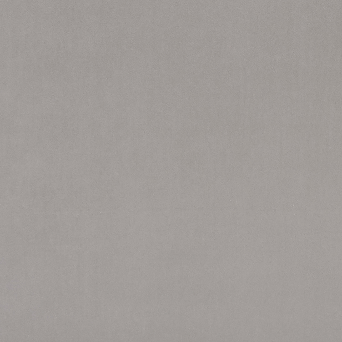 Clarke & Clarke Alvar Mole