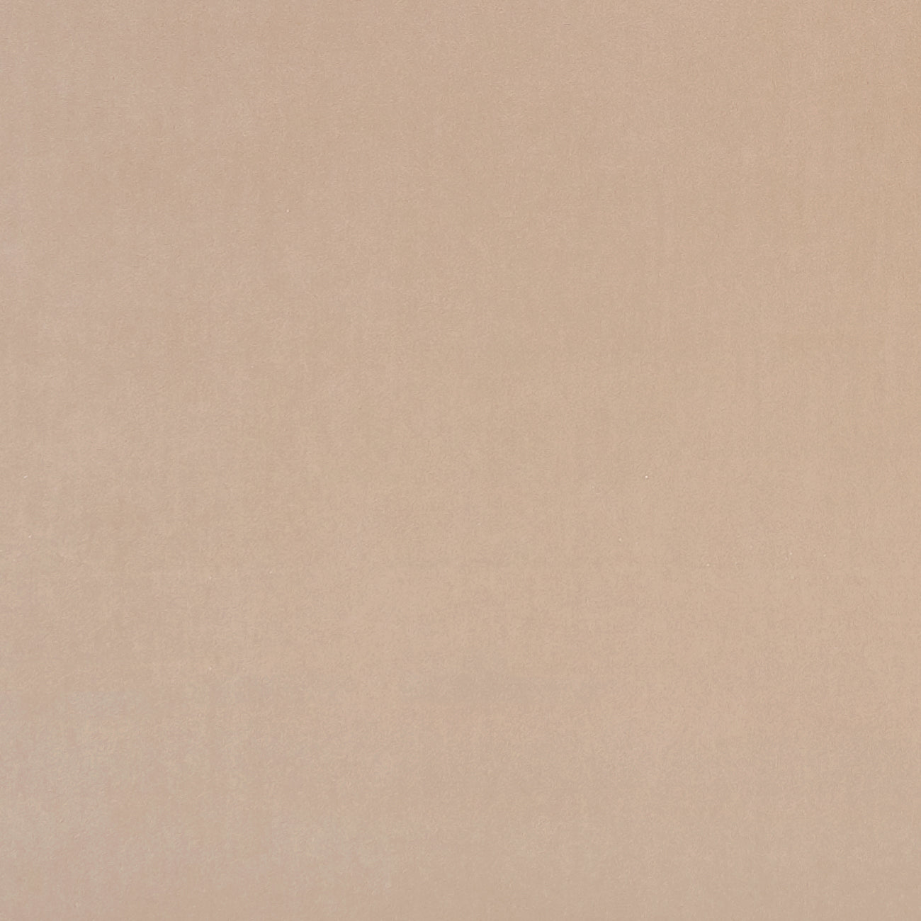 Clarke & Clarke Alvar Nude