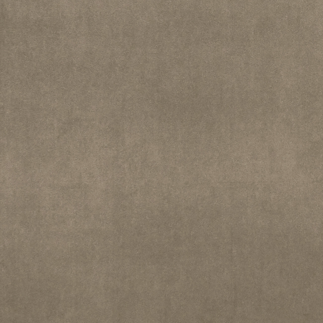 Clarke & Clarke Alvar Oak