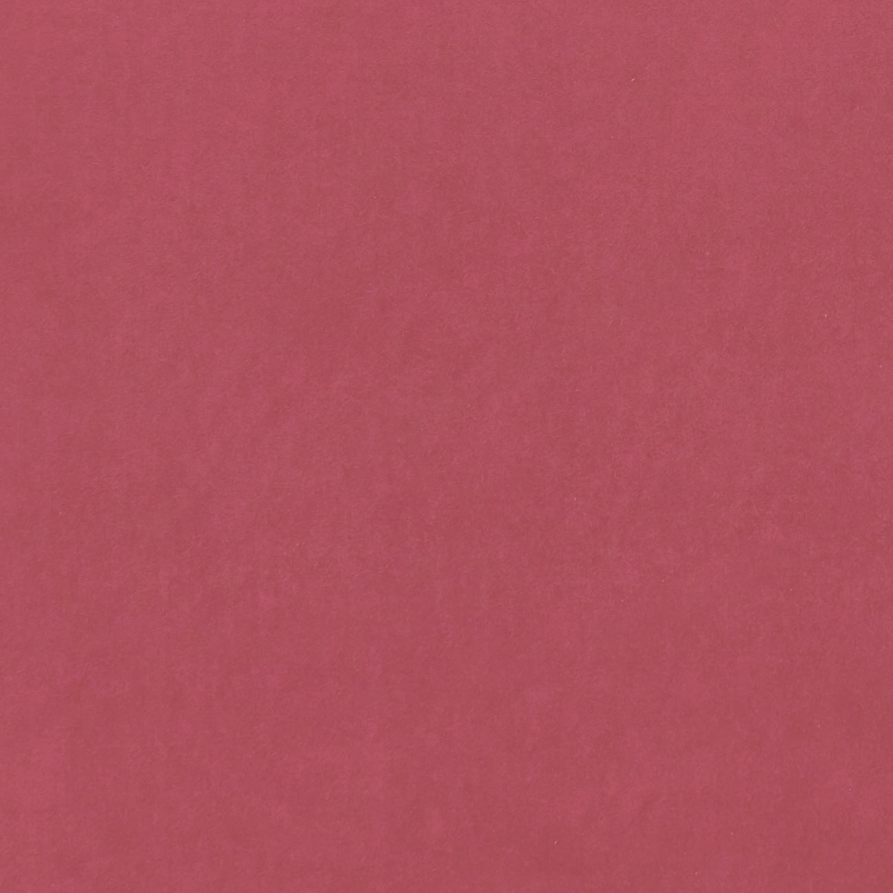 Clarke & Clarke Alvar Peony