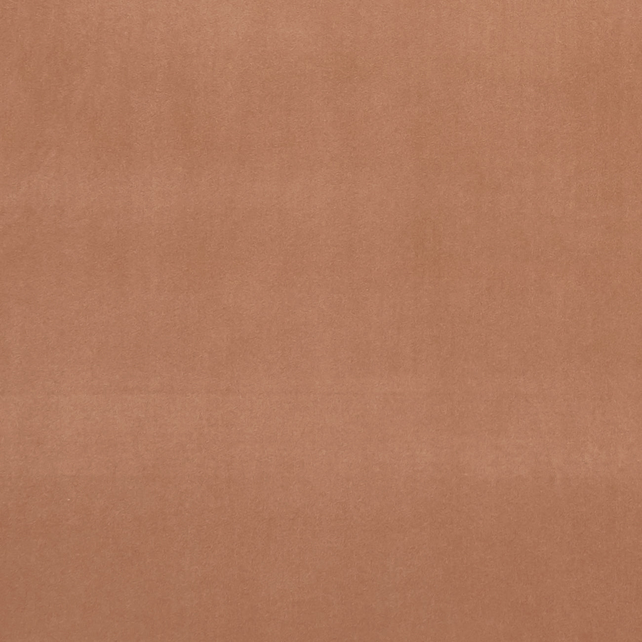 Clarke & Clarke Alvar Sienna