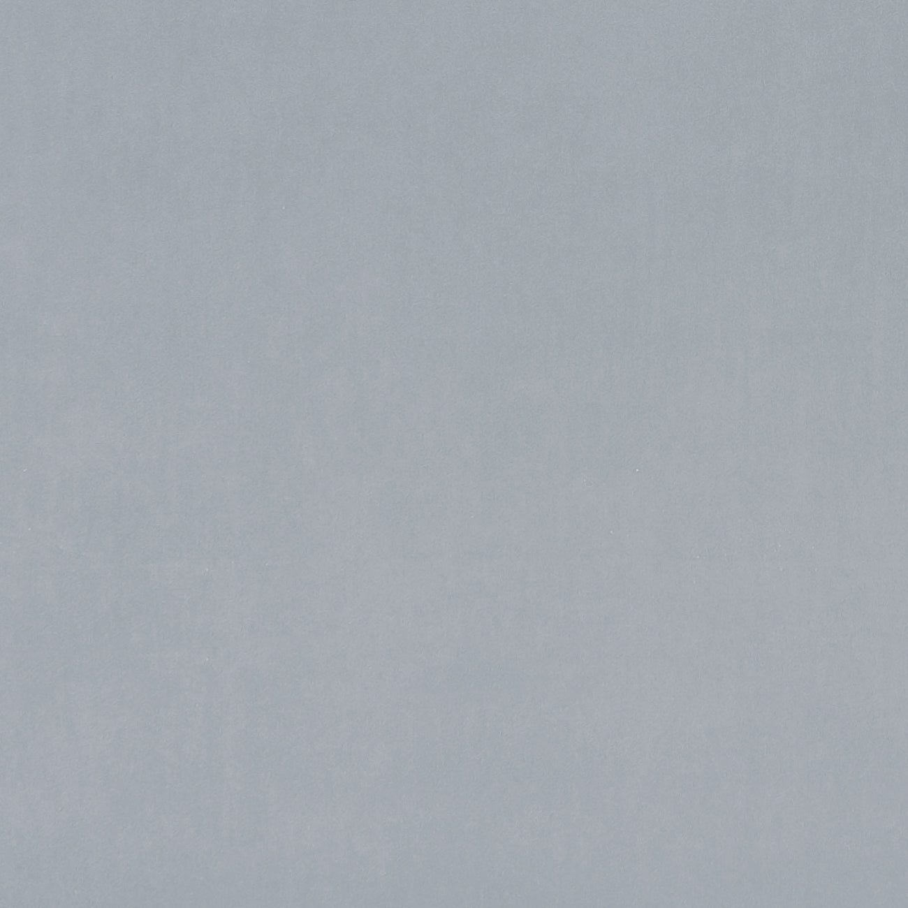 Clarke & Clarke Alvar Silver