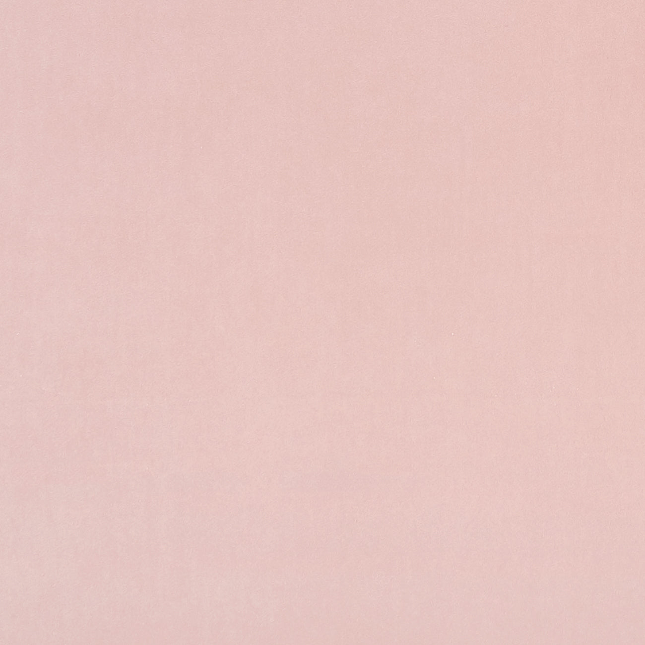 Clarke & Clarke Alvar Petal