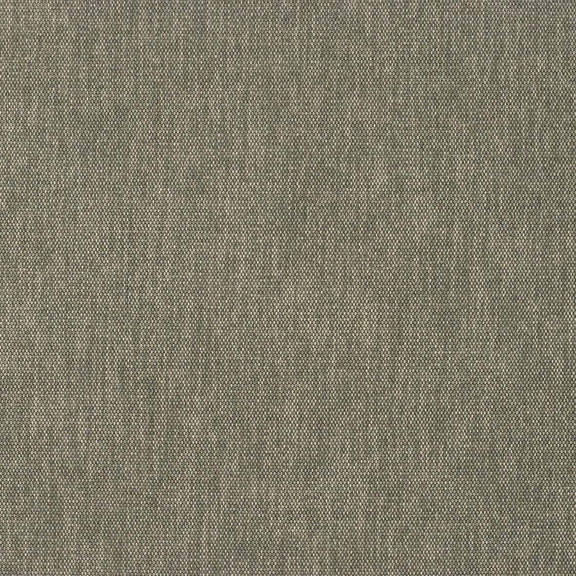 Warwick Key Largo Gunmetal