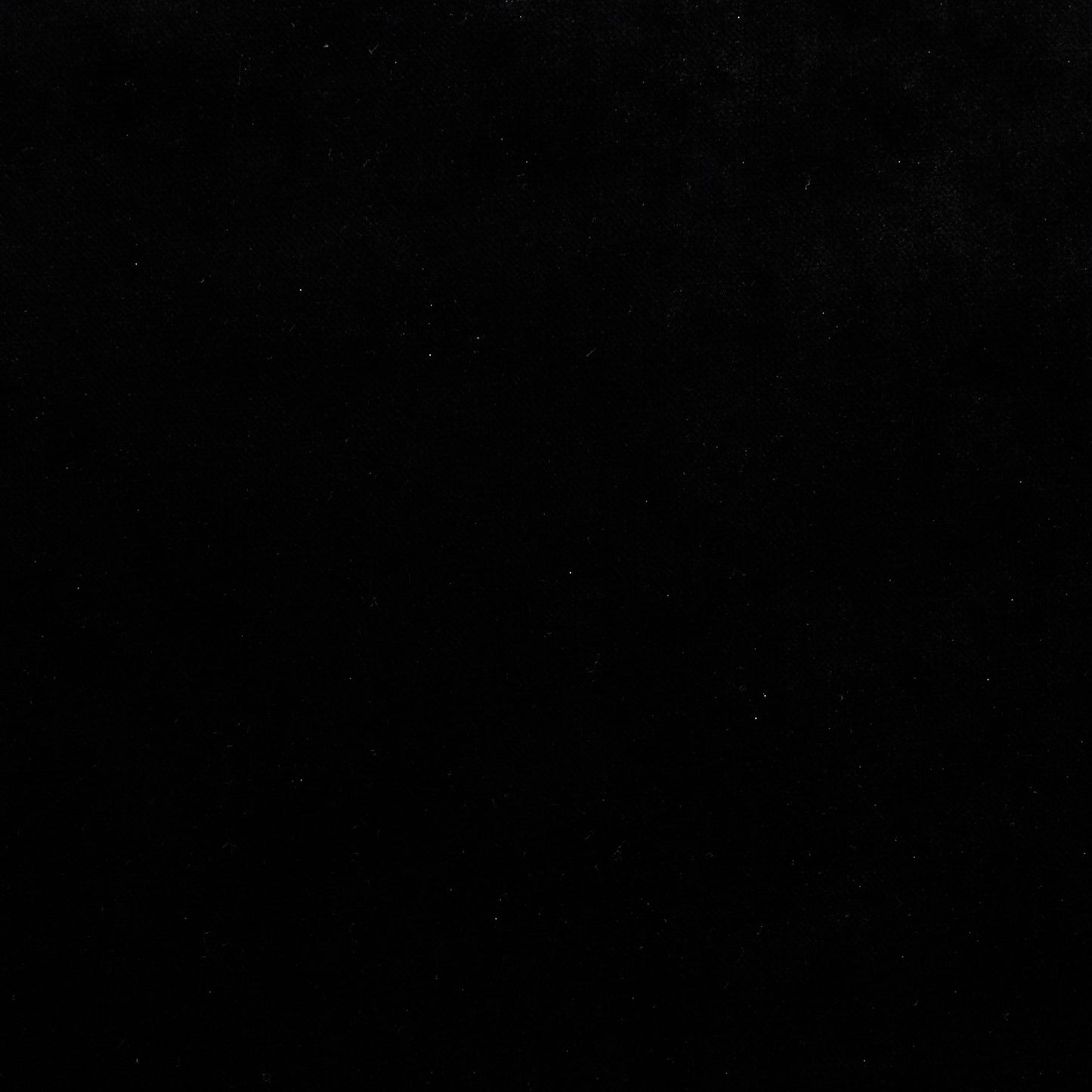 Warwick Mystere Ebony