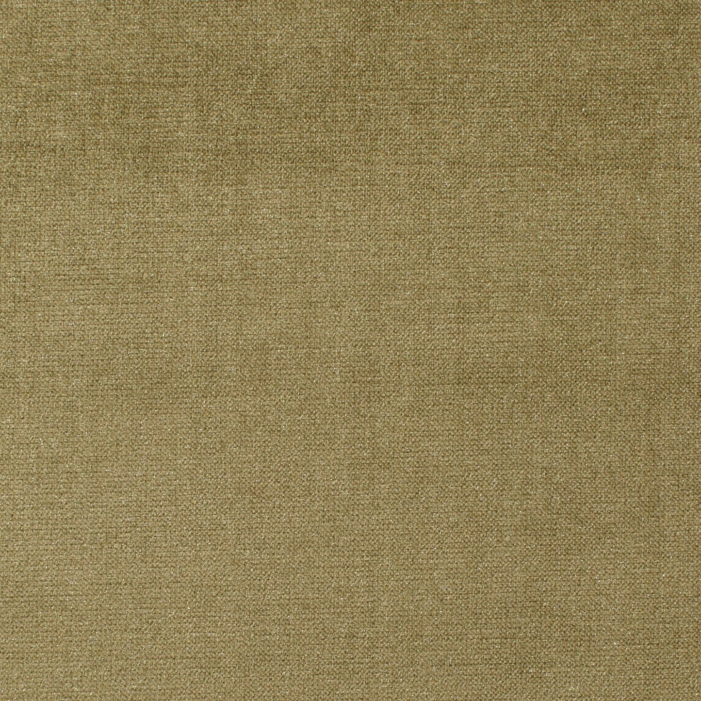 Warwick Mystere Moss