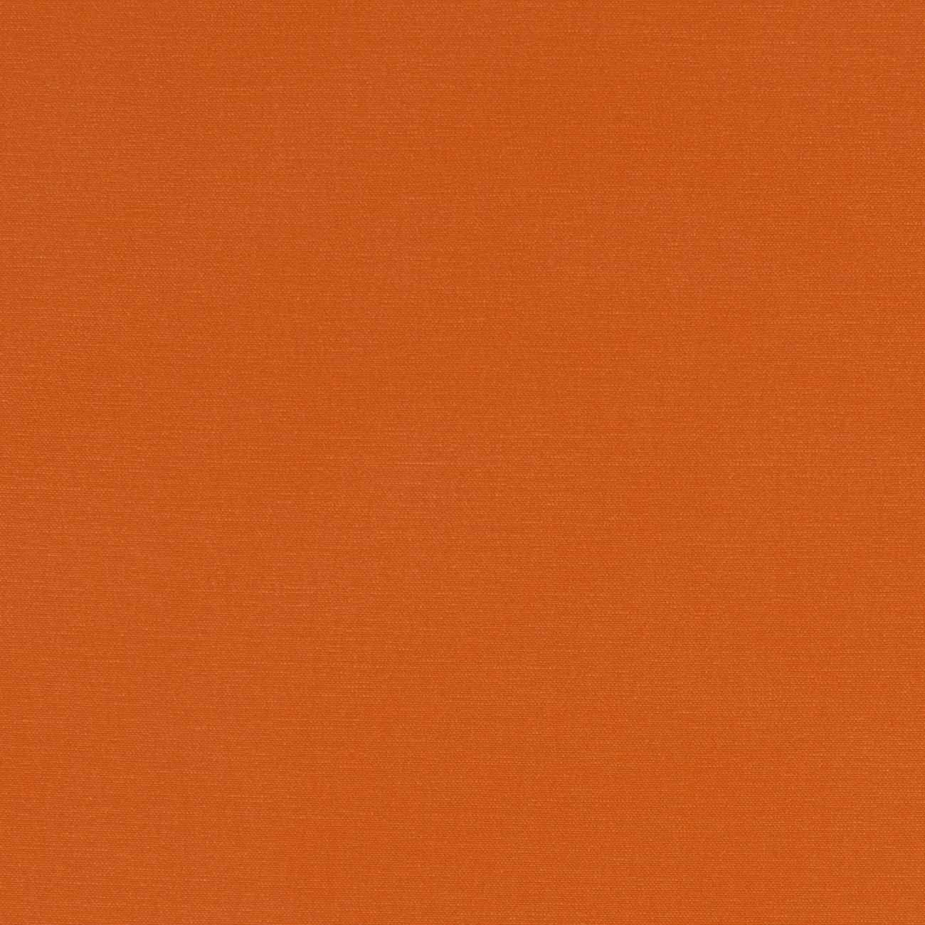 Clarke and Clarke Alora Spice