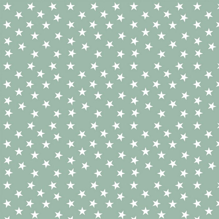 Prestigious Textiles Little Star Neptune