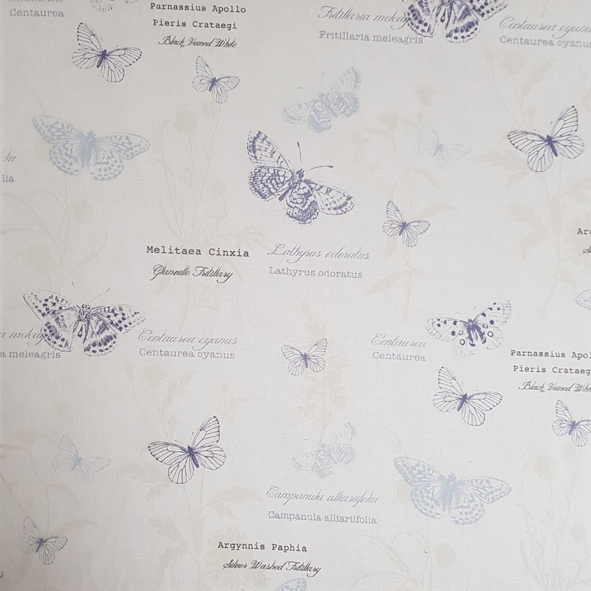 Fryetts Papillion Butterflies Harvest