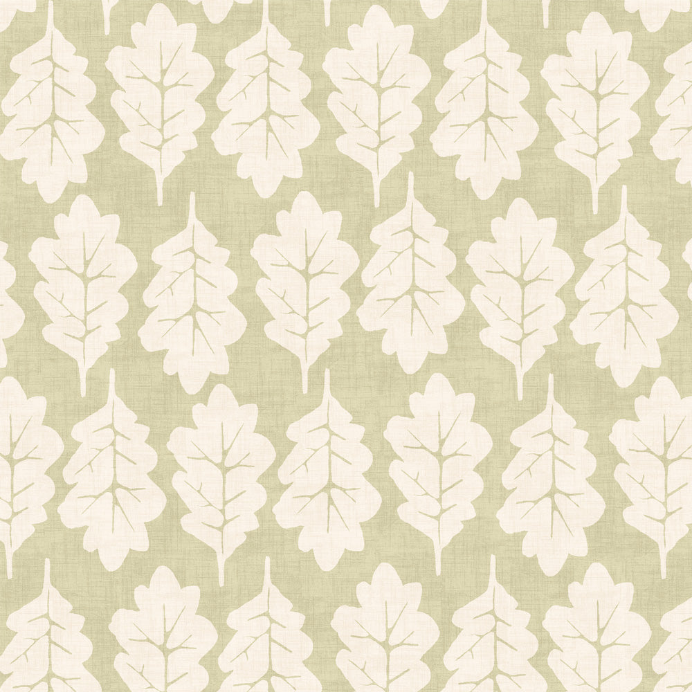 Iliv Oak Leaf Willow