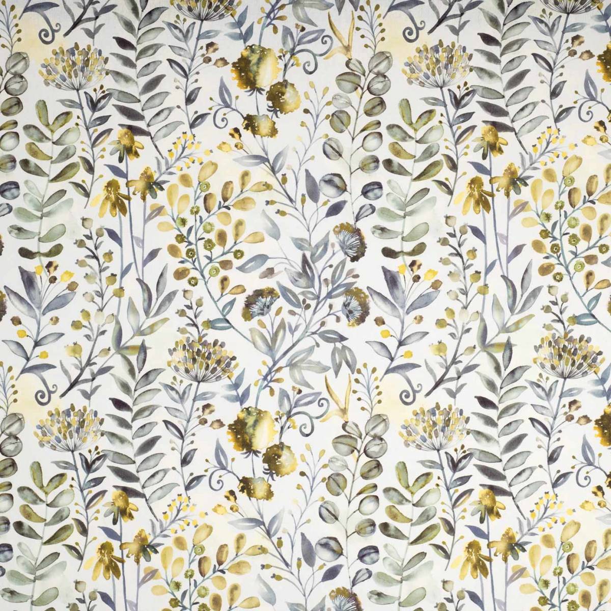 Ashley Wilde Welford Buttercup